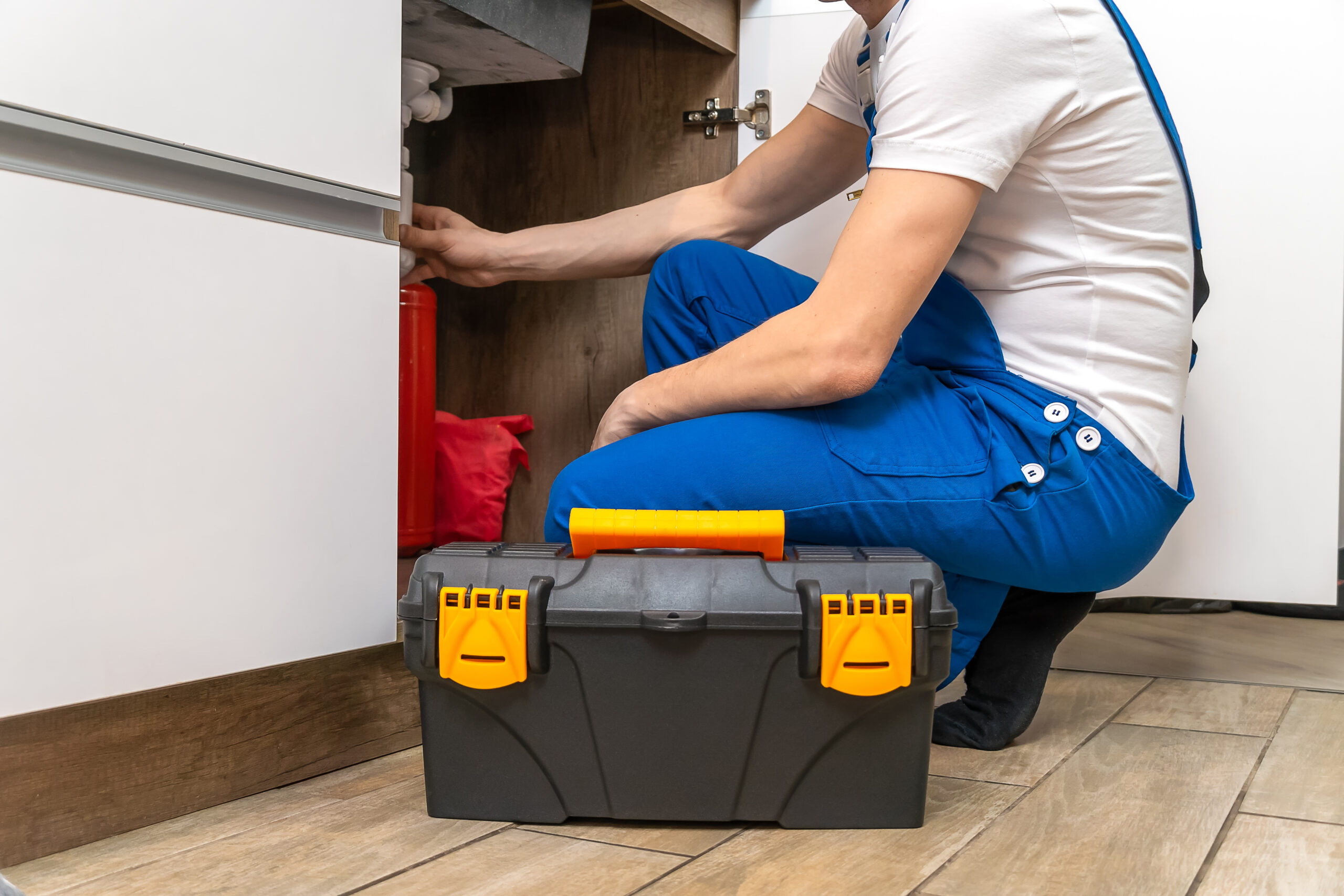 Garbage Disposals Common Problems, Maintenance Tips, and When to Call a Professional