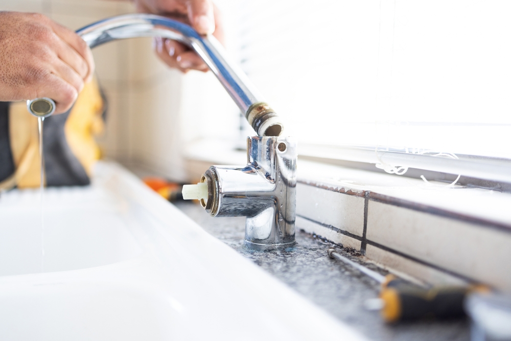 Professional plumber performing routine plumbing maintenance in a residential property