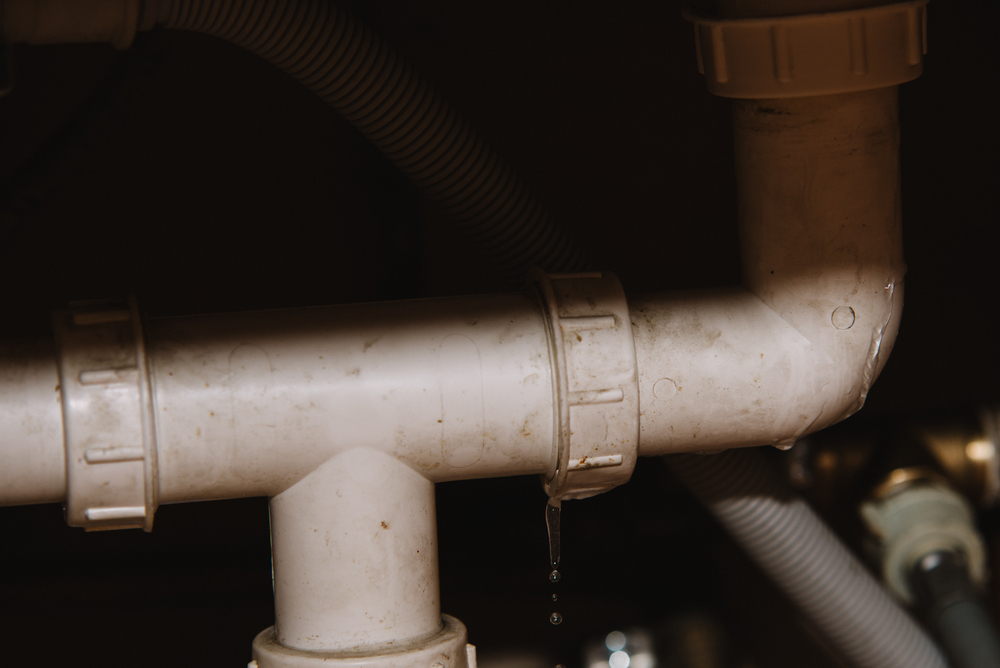 Professional plumber inspecting a home's main water line after summer water pressure drops in Windsor